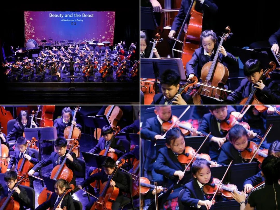Andante Strings