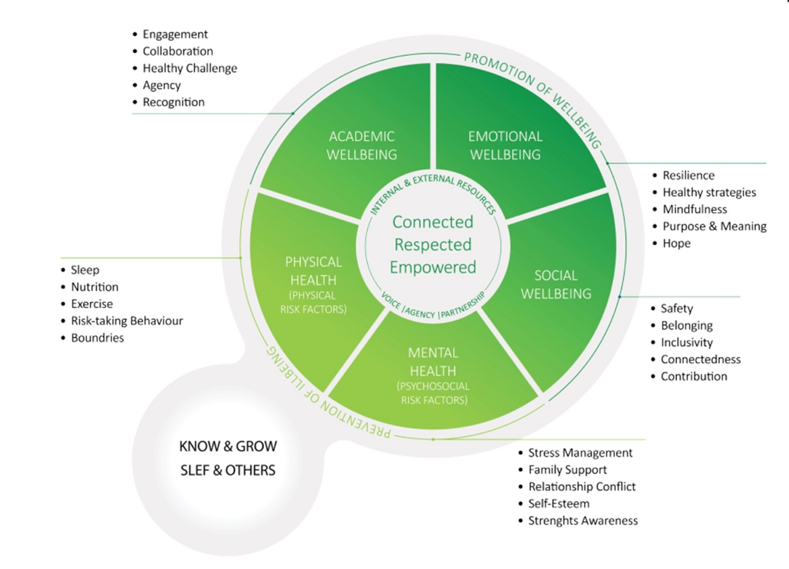 Student wellbeing framework