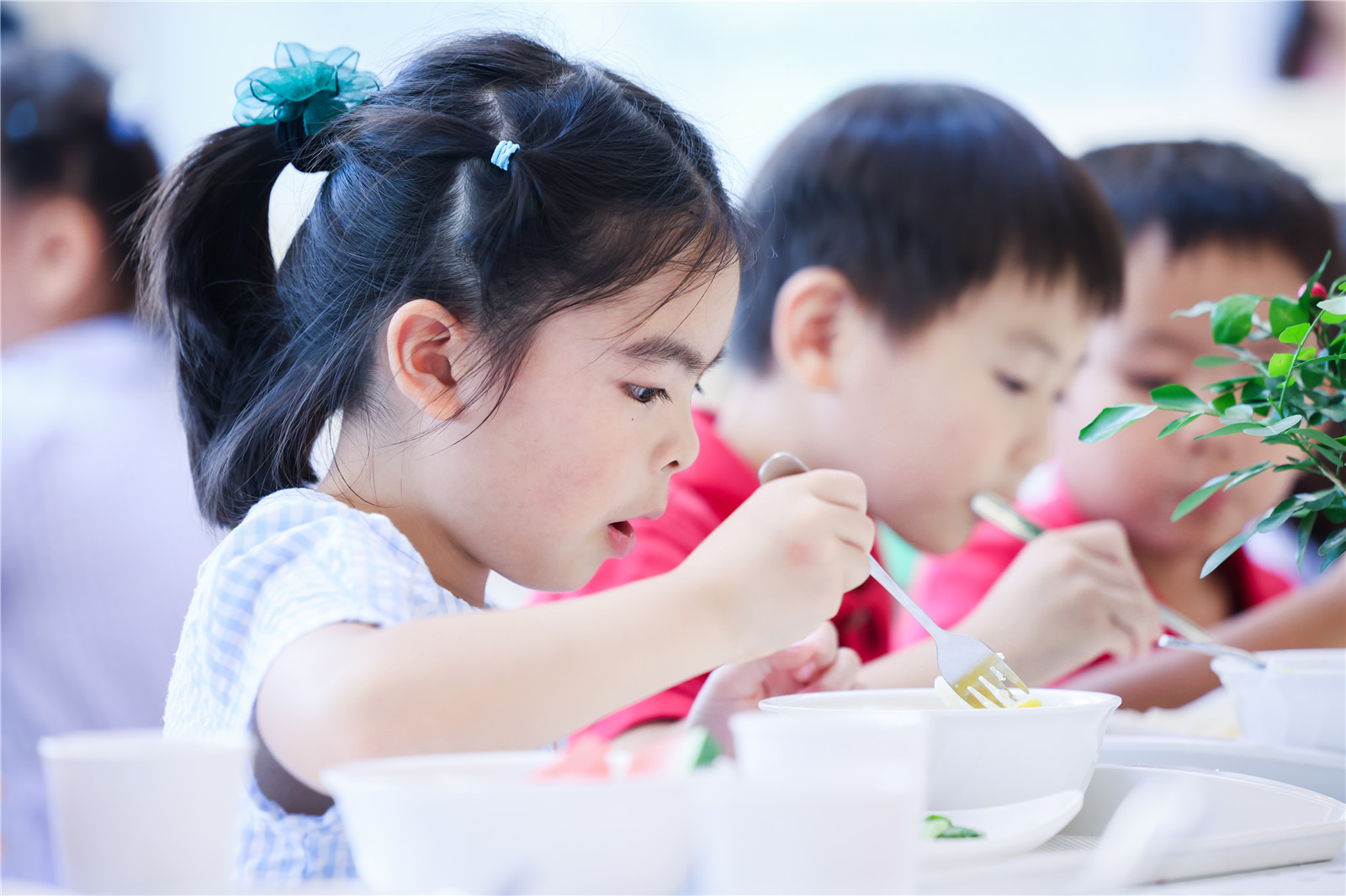 Renovated Junior School Cafeteria