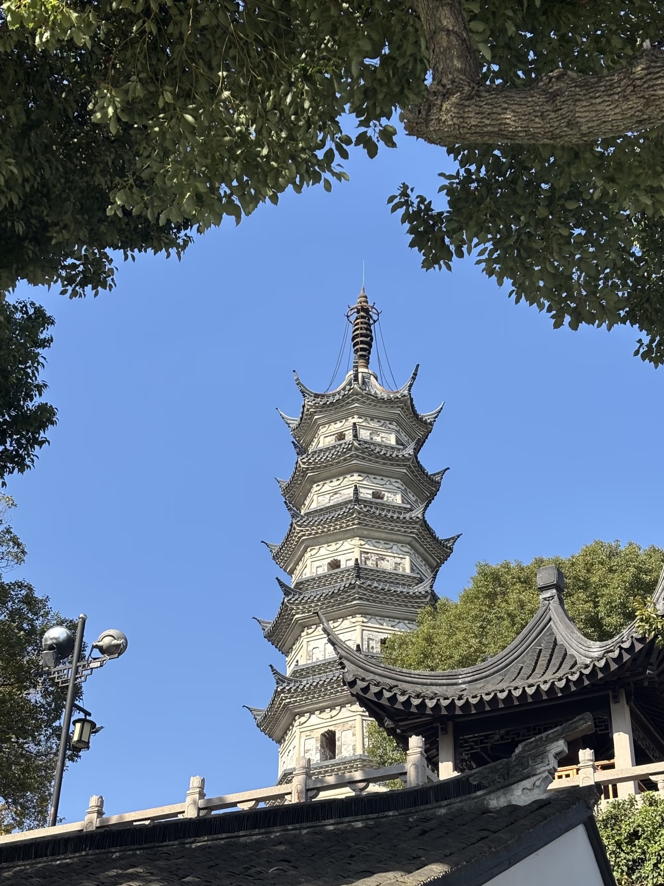 weixin-image-20260204103504-149-4