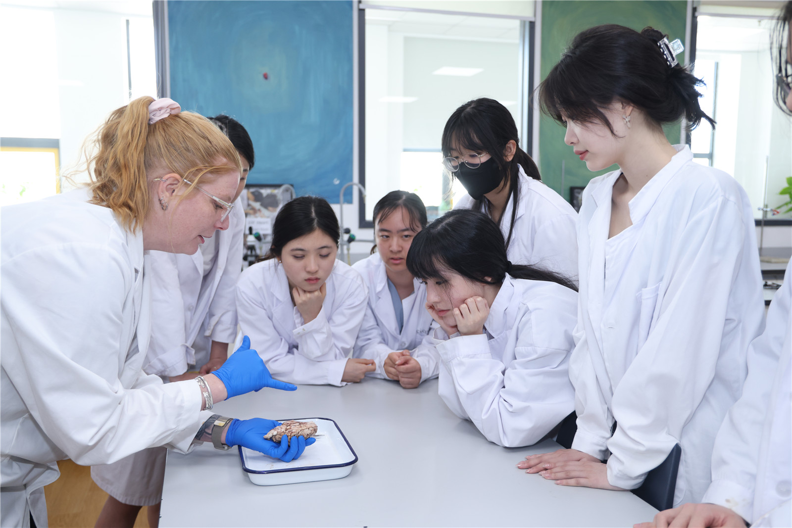 Students in biology class at the laboratory