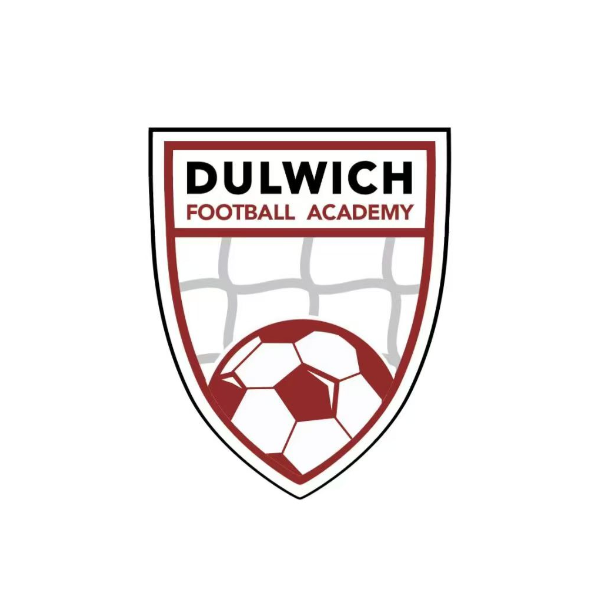Dulwich Football Academy (DFA) image