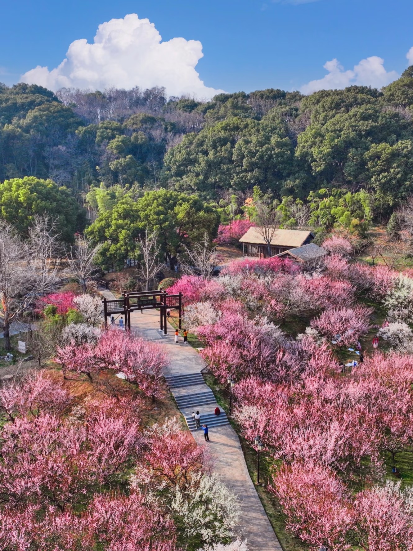 weixin-image-20260204103506-150-4