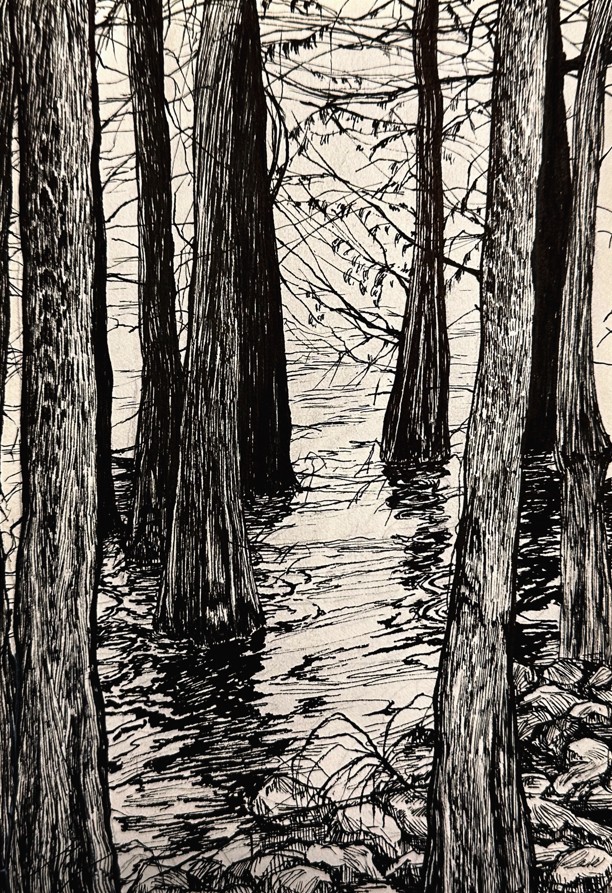 screenshot-2026-02-27-154021