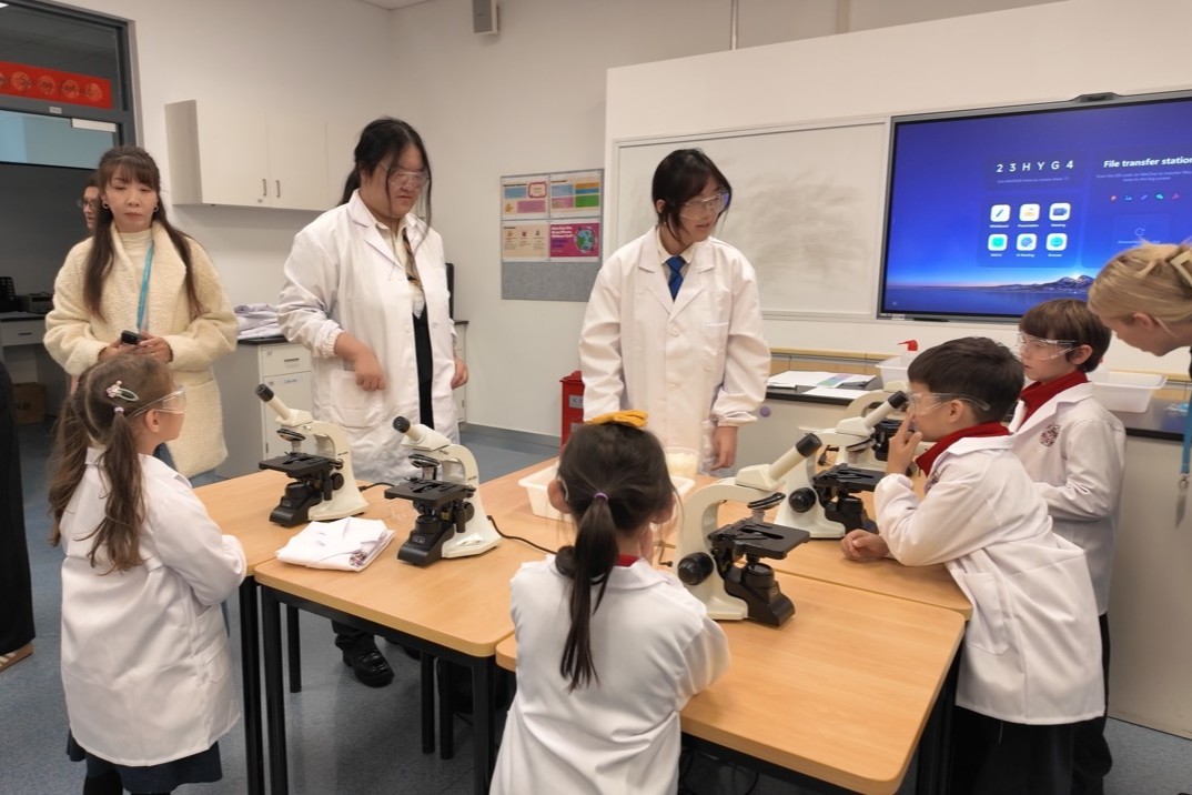 screenshot-2026-03-05-095725