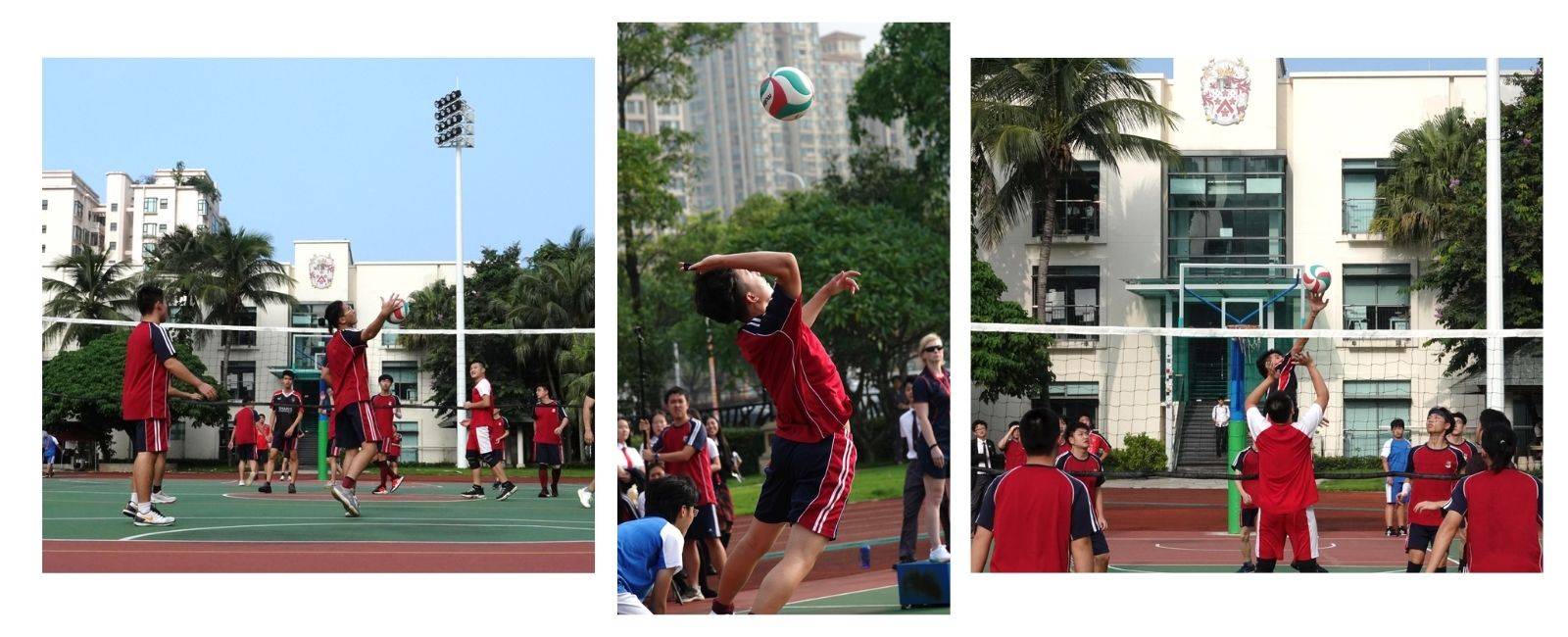 1600-650-volleyball-collage