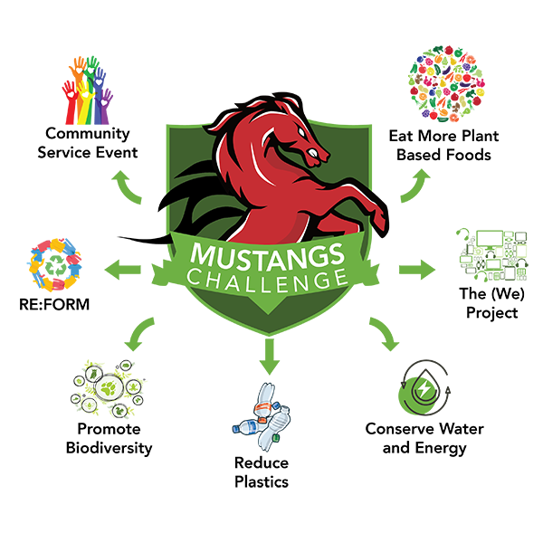 mustangschallenge-v2-01-w