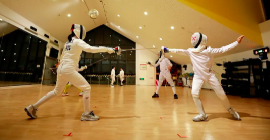 fencing3