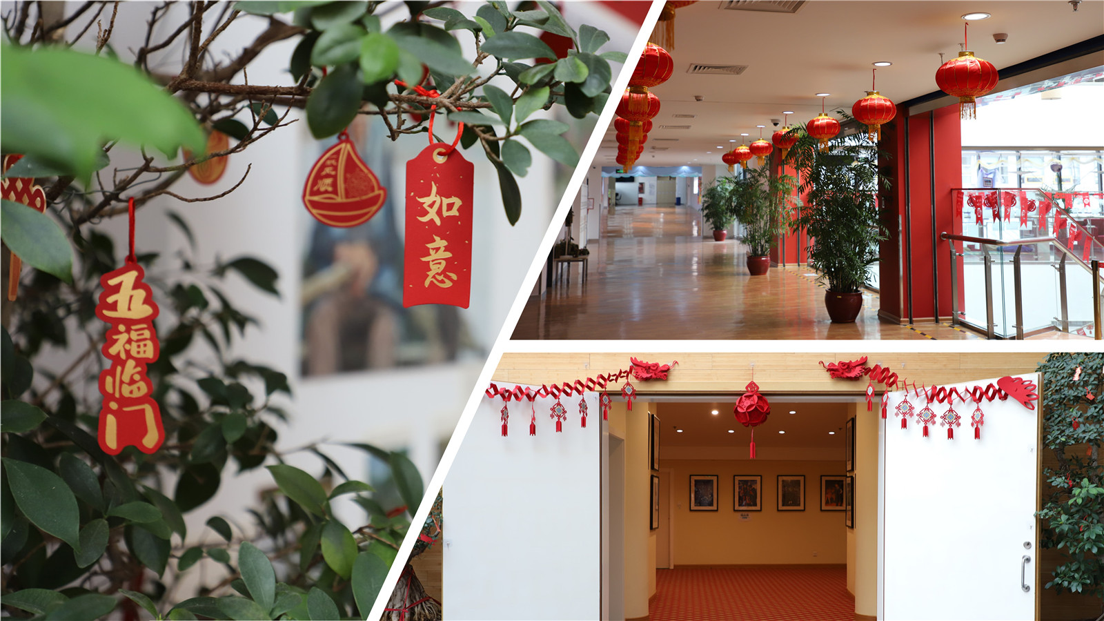 Chinese New Year decoration at DCB - international school in beijing 2