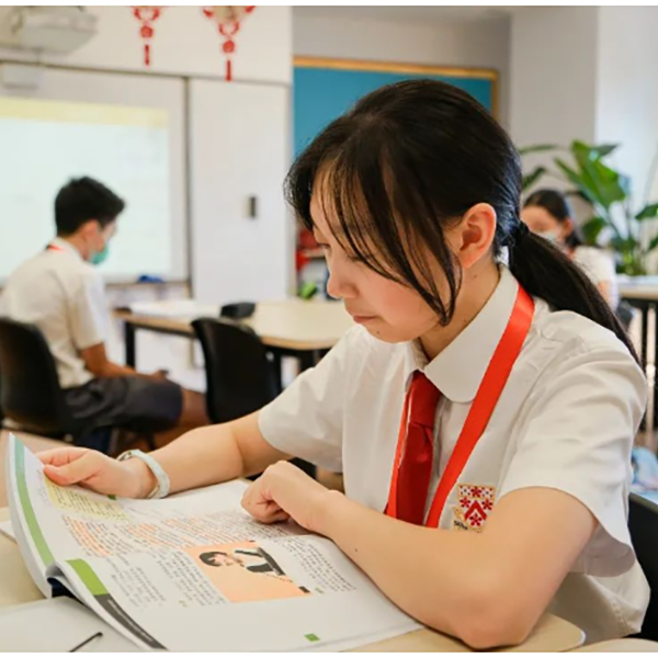 The Importance of Mandarin Fluency in an International School image