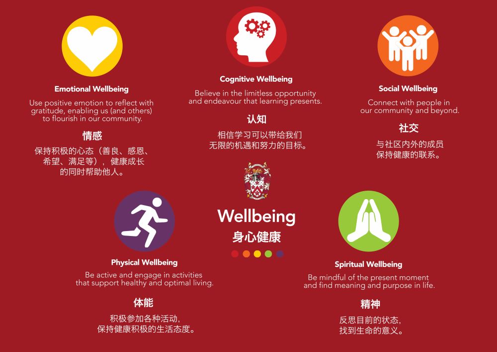 Our Wellbeing framework