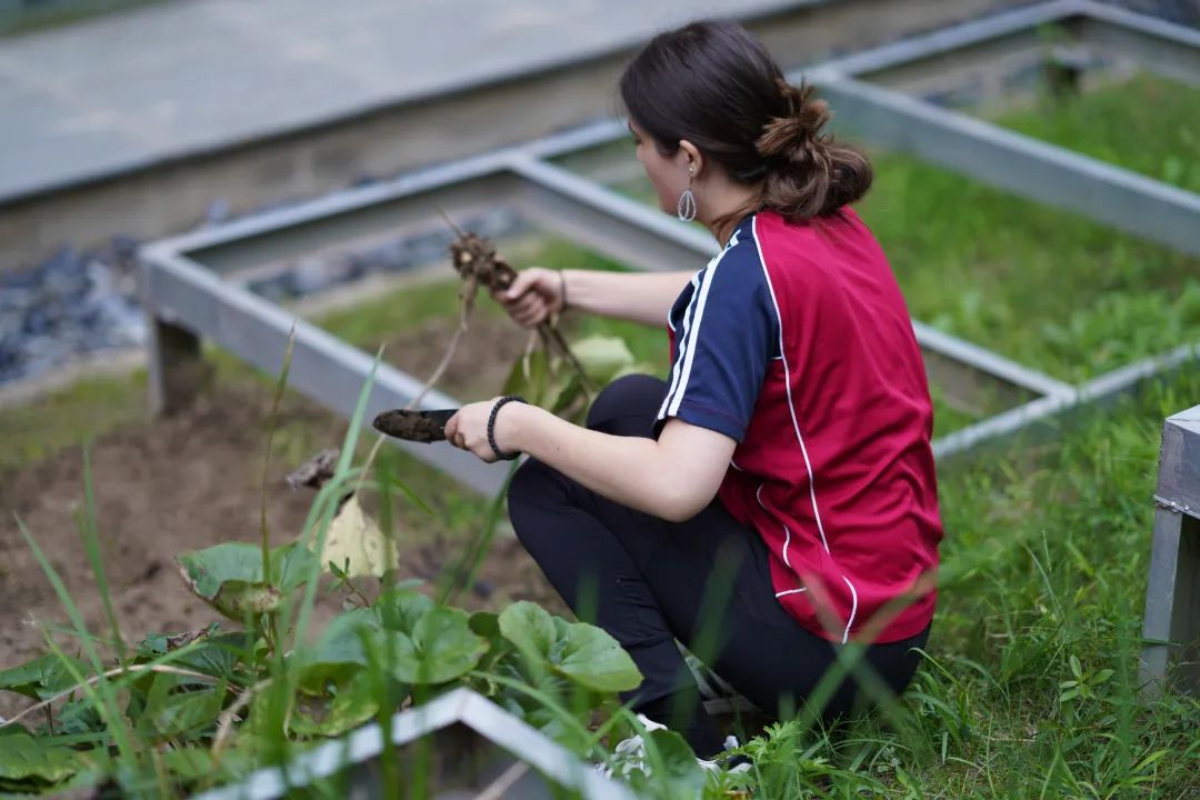 gardening