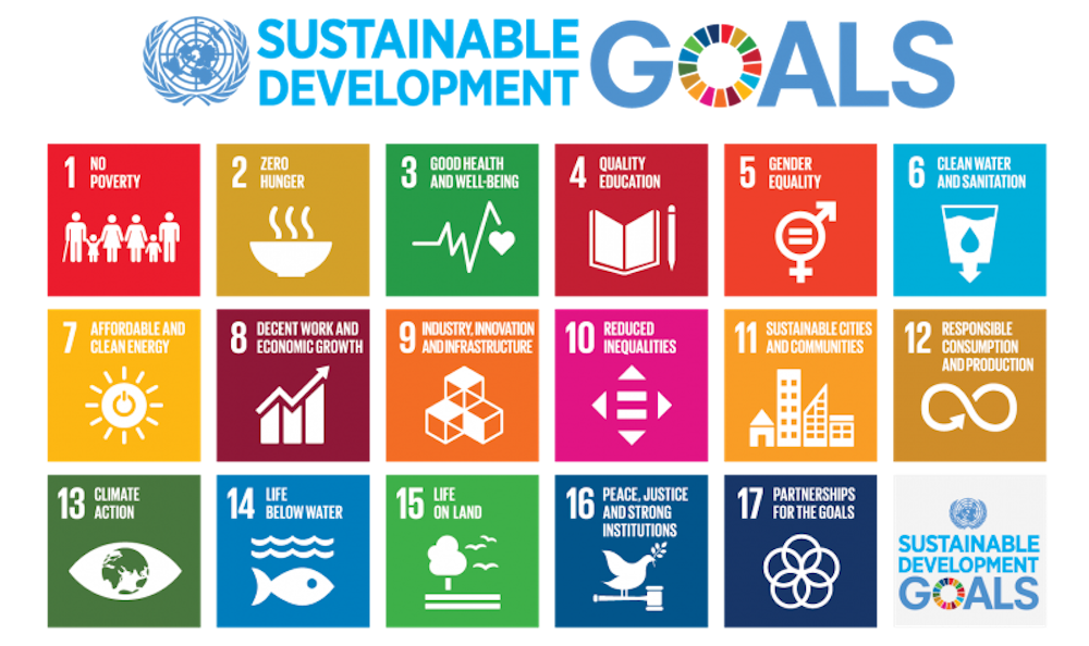 sustainable development goals