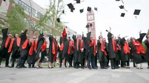 animated-gif-downsized-large-2-20200707-210521-429