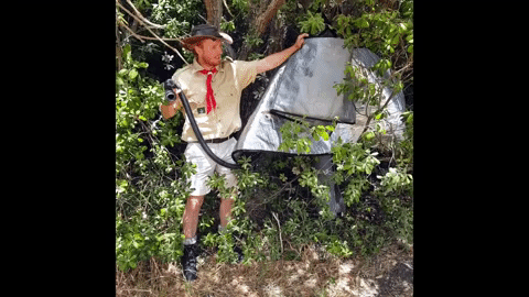 animated-gif-downsized-large-5-20200707-210513-197
