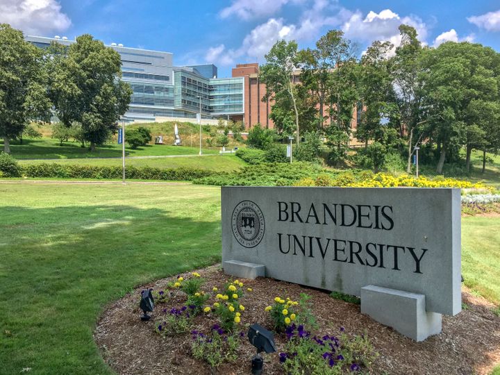 brandeis-u
