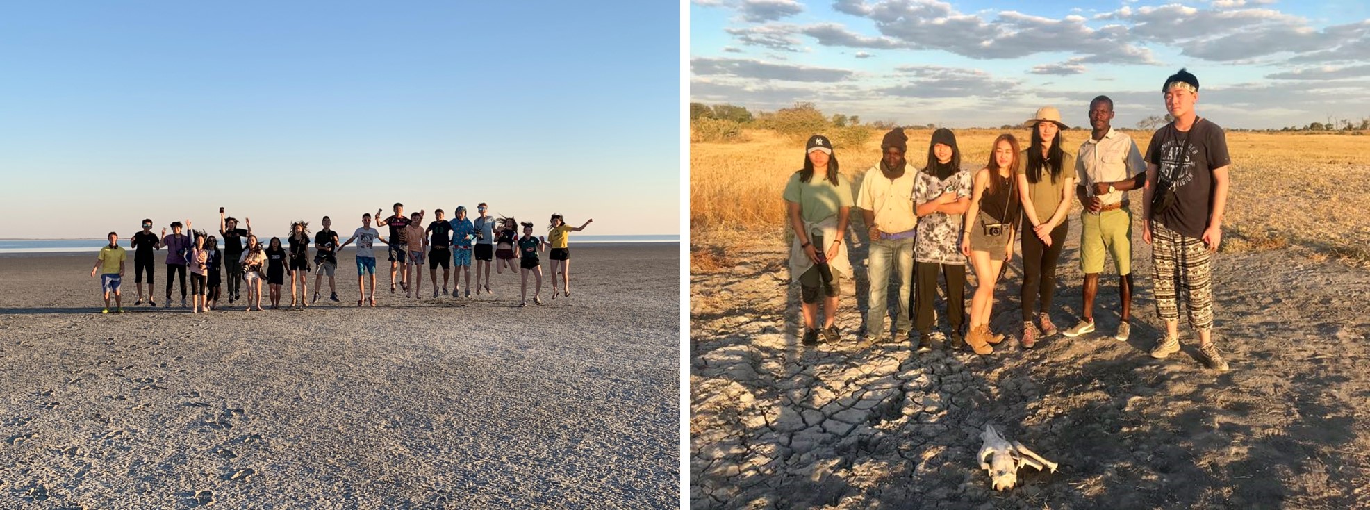 DCB AFRICA TRIP 2019 - wild and animals