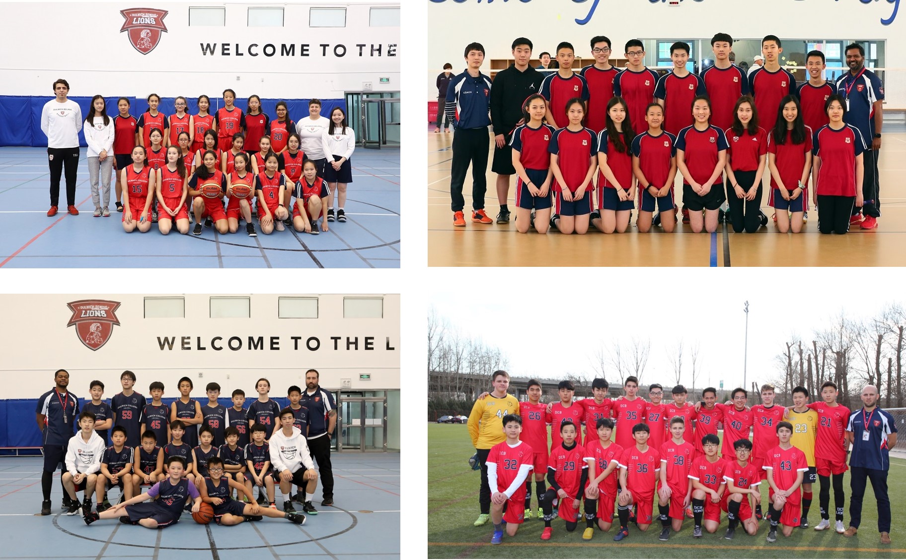 DCB sport teams season 3 2019