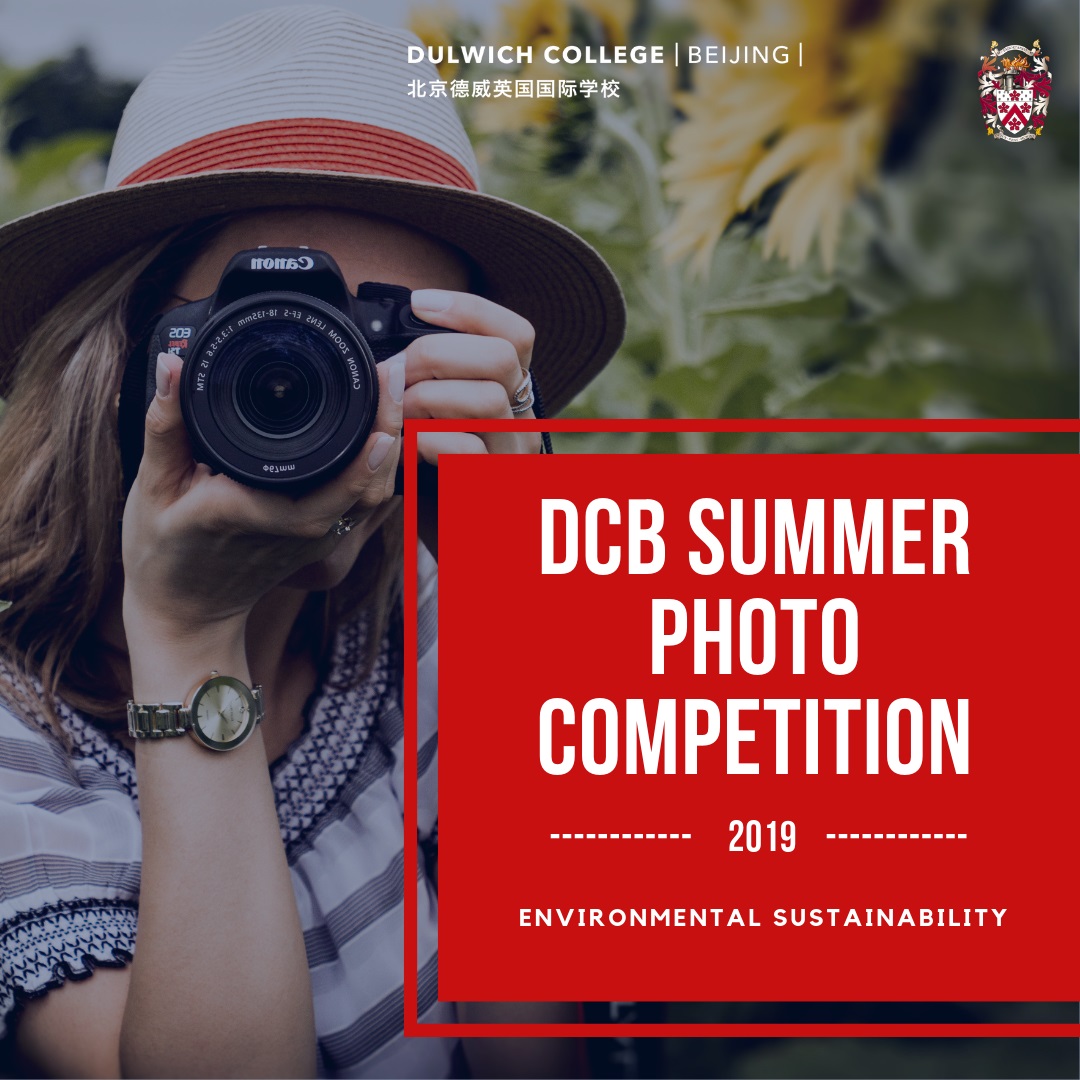 DCB Summer Photo Competition 2019