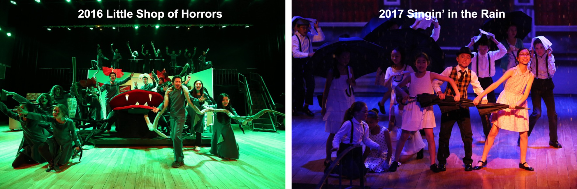 戏剧艺术 2016 和 2017