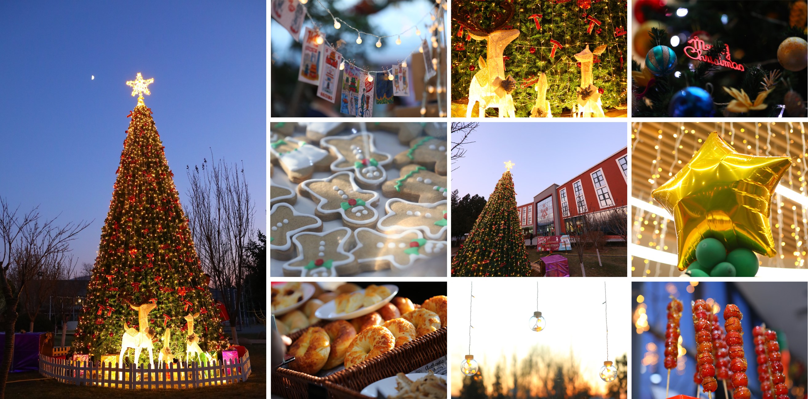 Dulwich Christmas 2019