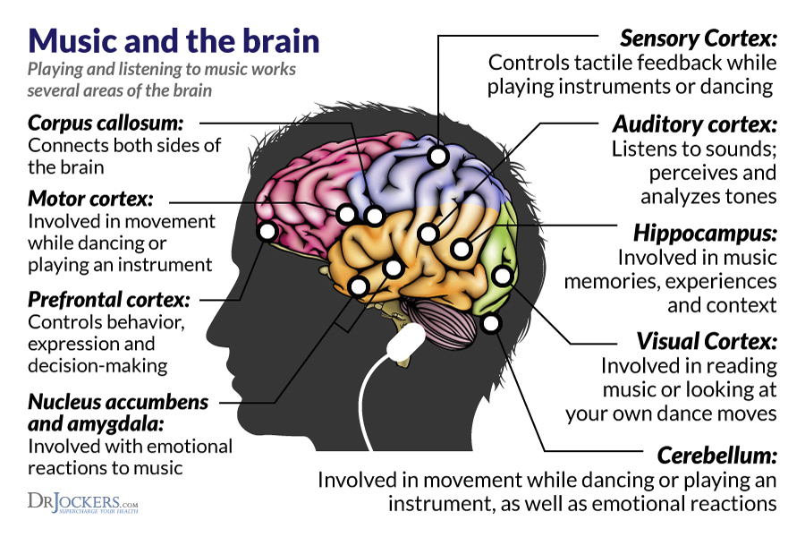 music-brain