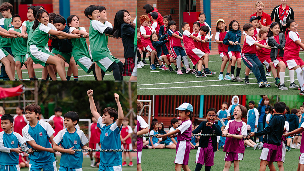 primary-tug-of-war-collage-1