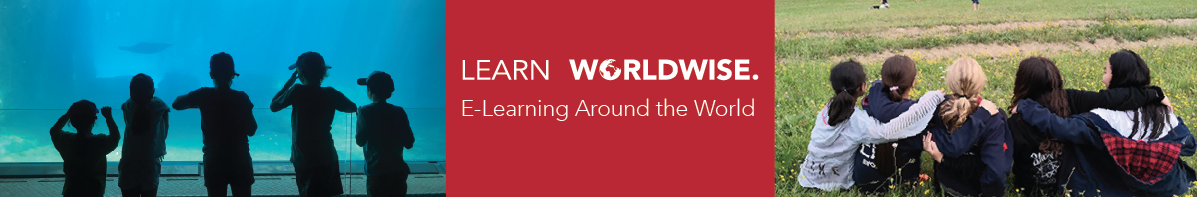 E-Learning Around the World