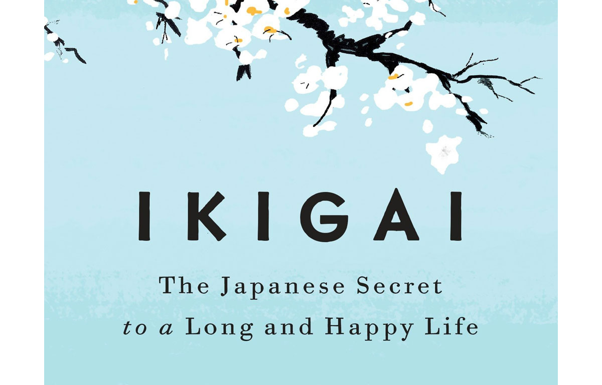 sloww-ikigai-book