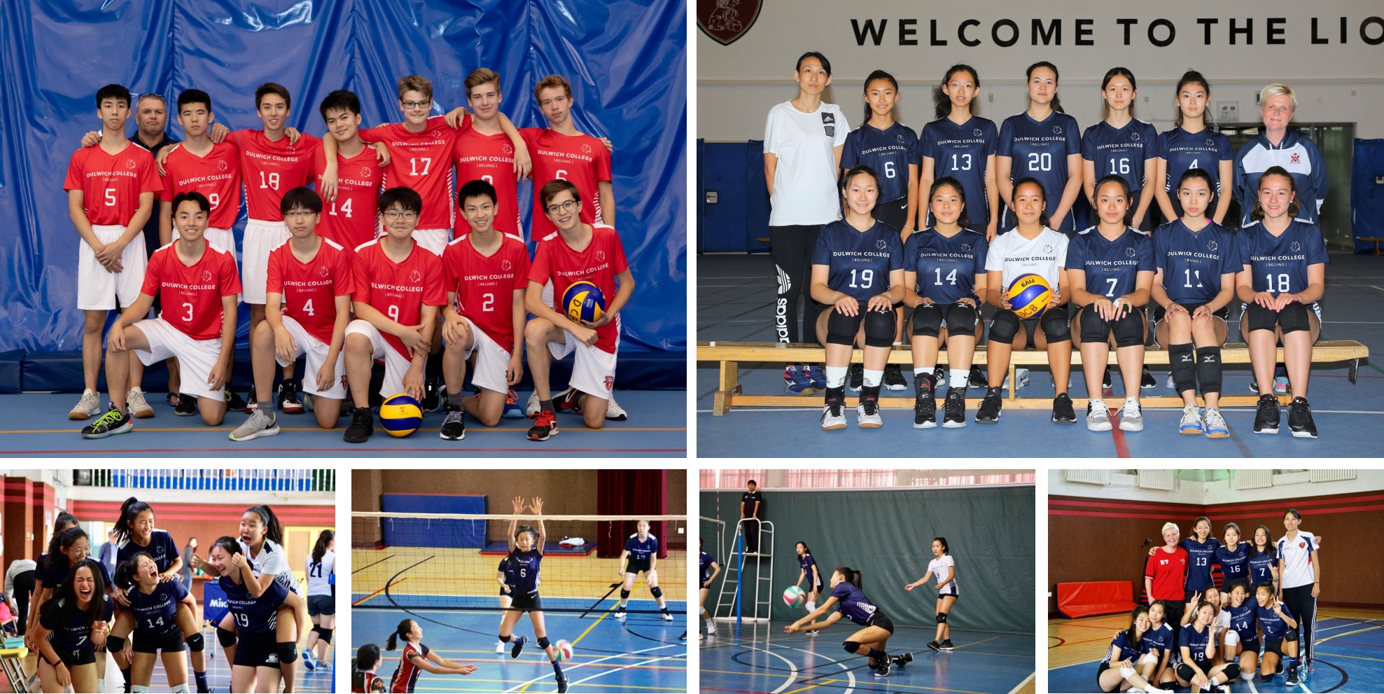 U19 ISAC Volleyball Tournaments - DCB Varsity Girls and JV Boys