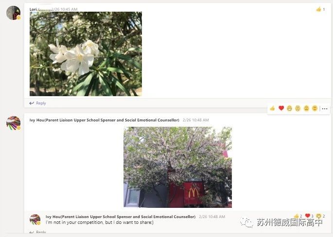 wechat-image-20200311083524