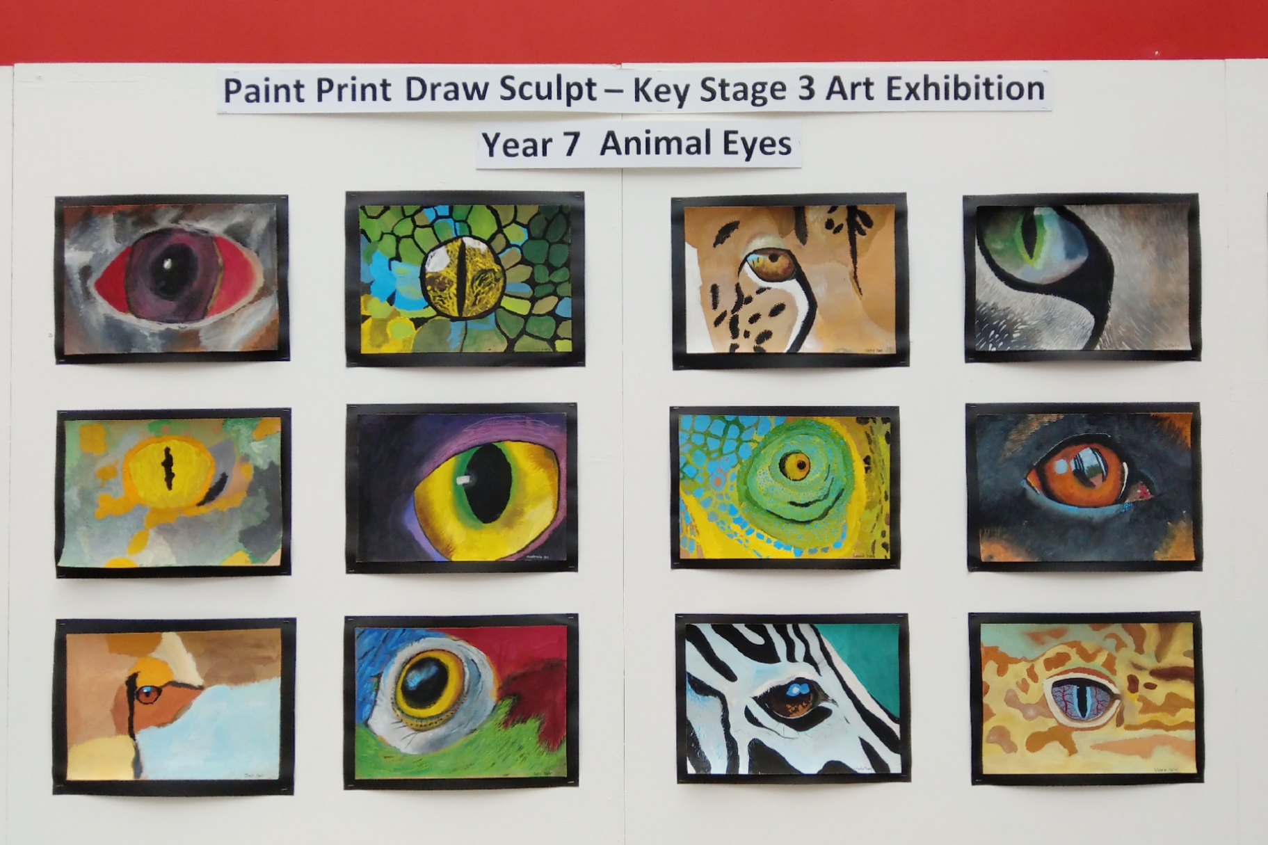 DCB Key Stage 3 exhibition ''Paint Print Draw Sculpt'' - Year 7 Animal Eyes