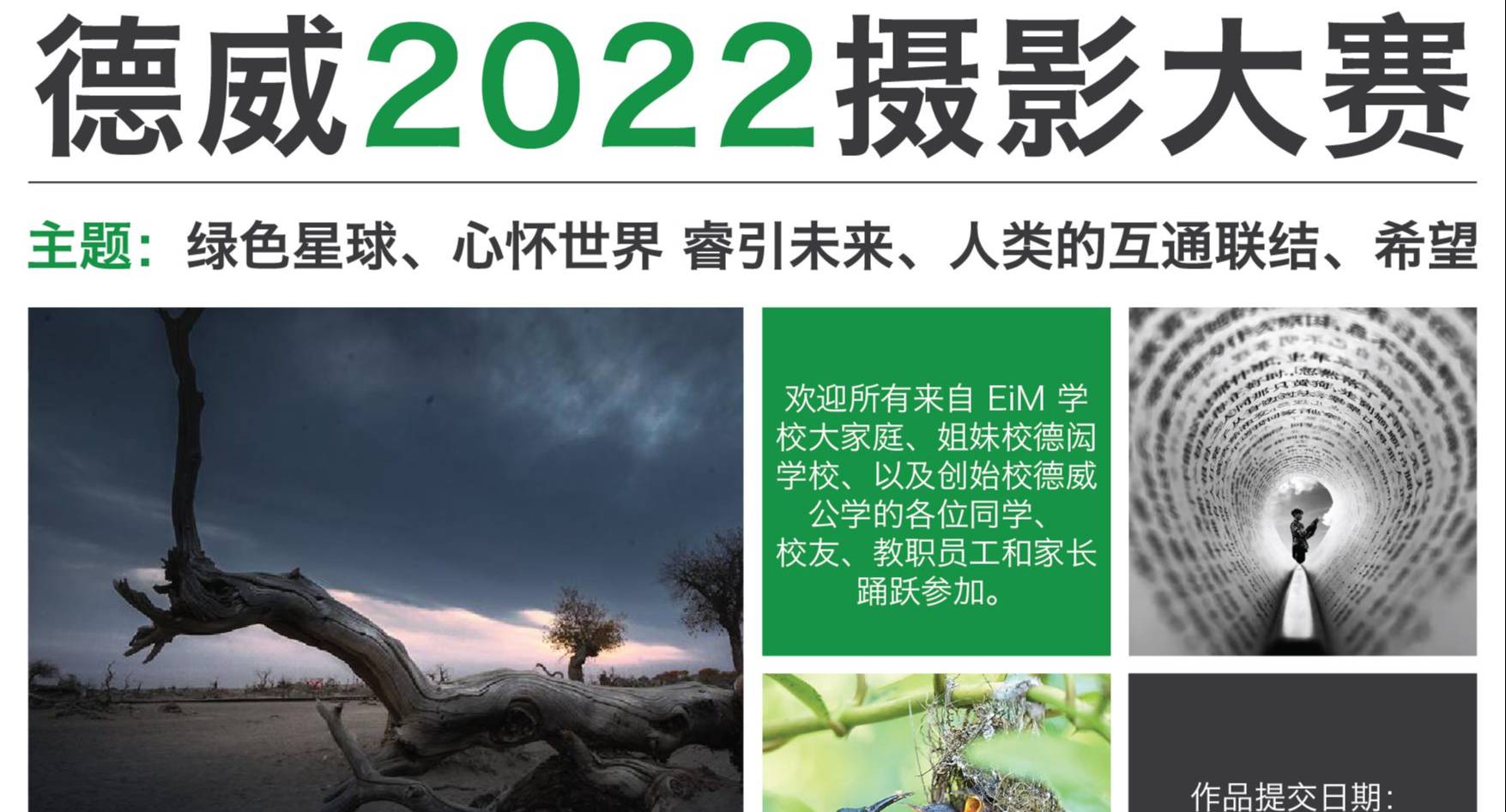德威2022摄影大赛正式开启