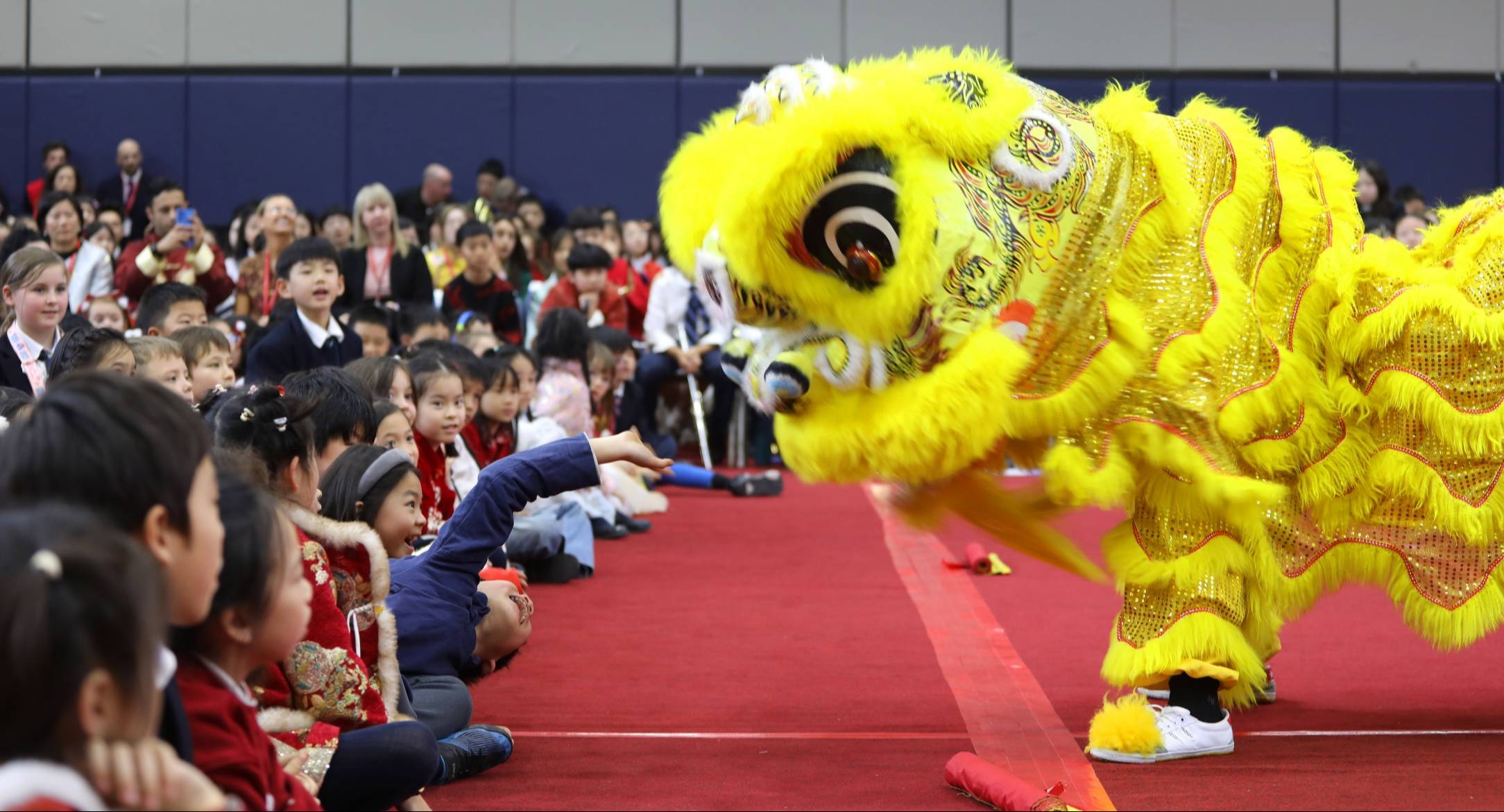 Wishing you a Happy New Year of the Snake!