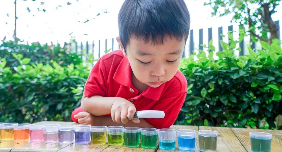 Are you feeling Curious about our Curiosity Approach Journey?