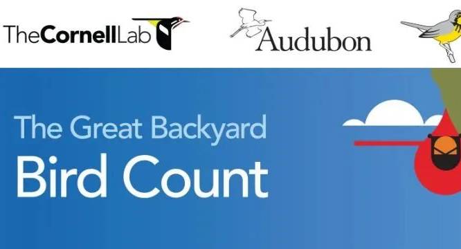 Support Biodiversity: Join The Great Backyard Bird Count with Us