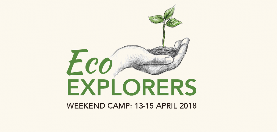 Eco Explorer Camp
