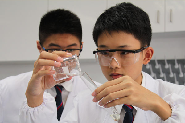 Rising Year 12 Options Day