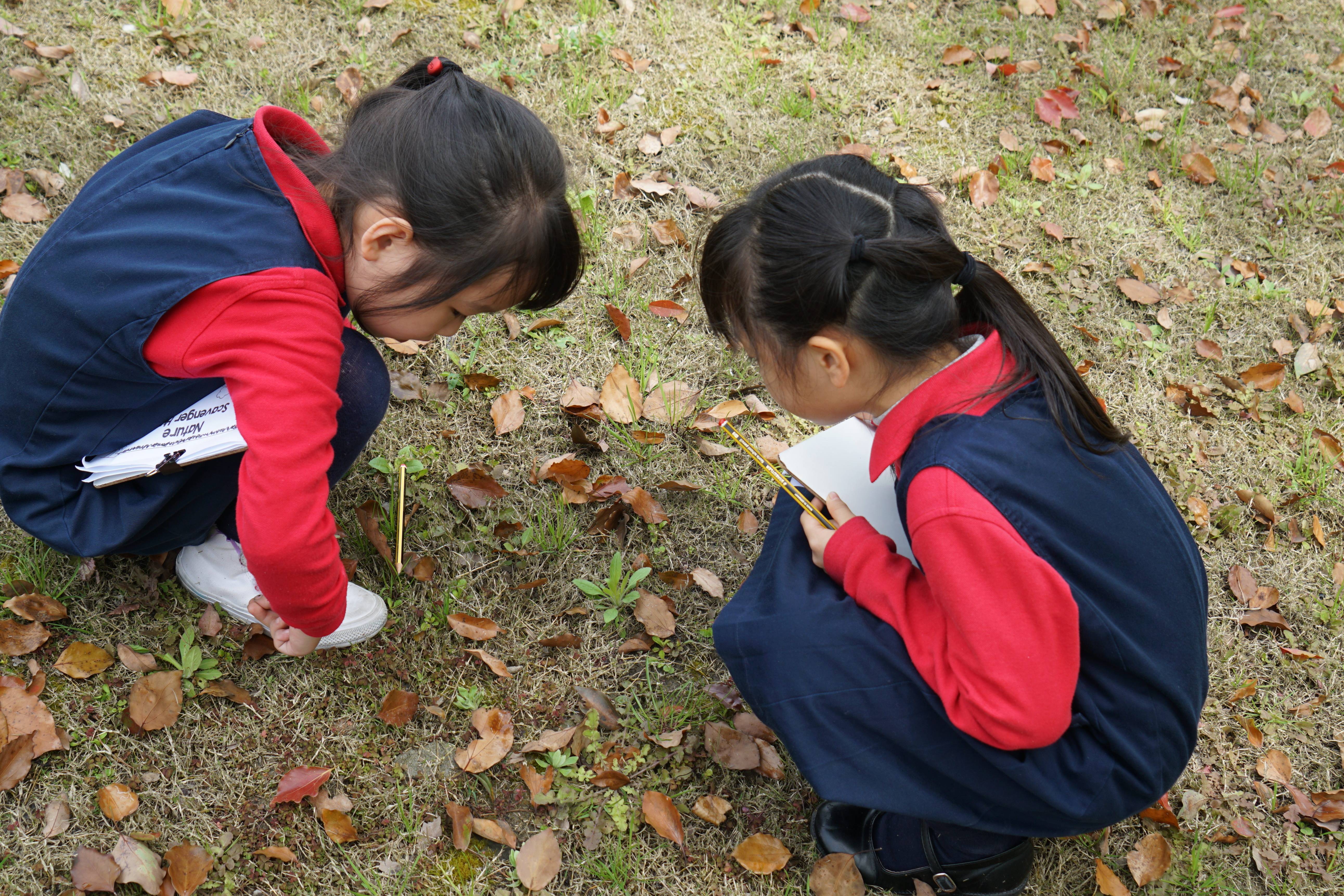 Dulwich Puxi: Learning In The Sunshine!