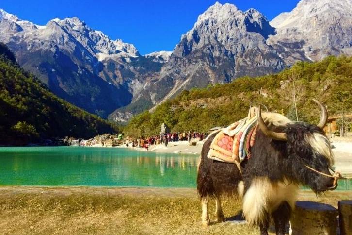8th Dulwich Photo Competition and A Look Back at Past Winners