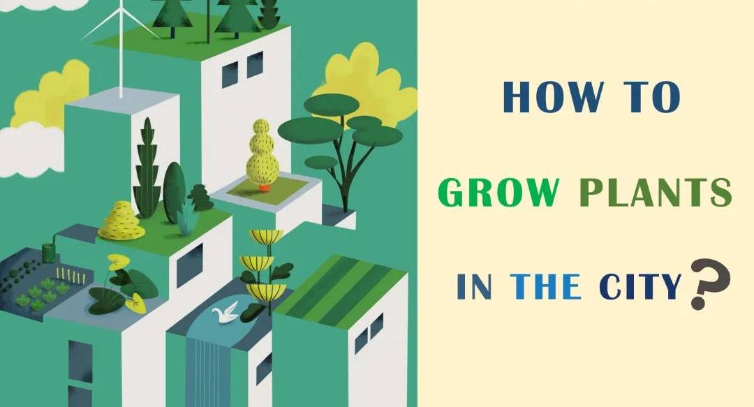 EcoCamp Online: Concrete Jungles – Sustainability in the City