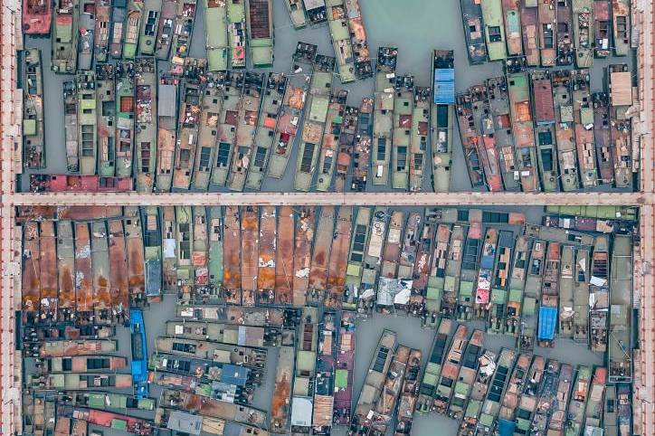 The Grand Prize for the 2021 Dulwich Photo Competition Goes to…