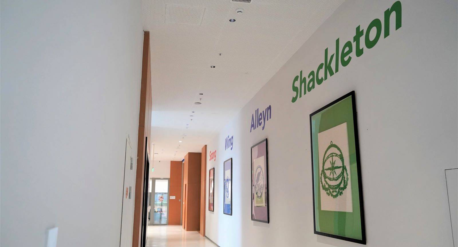 House artwork - building it bigger together