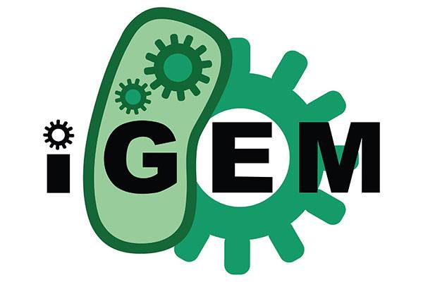 德威学生获国际遗传工程机器大赛全球金奖!|DHSZ students won the gold medal at iGEM!