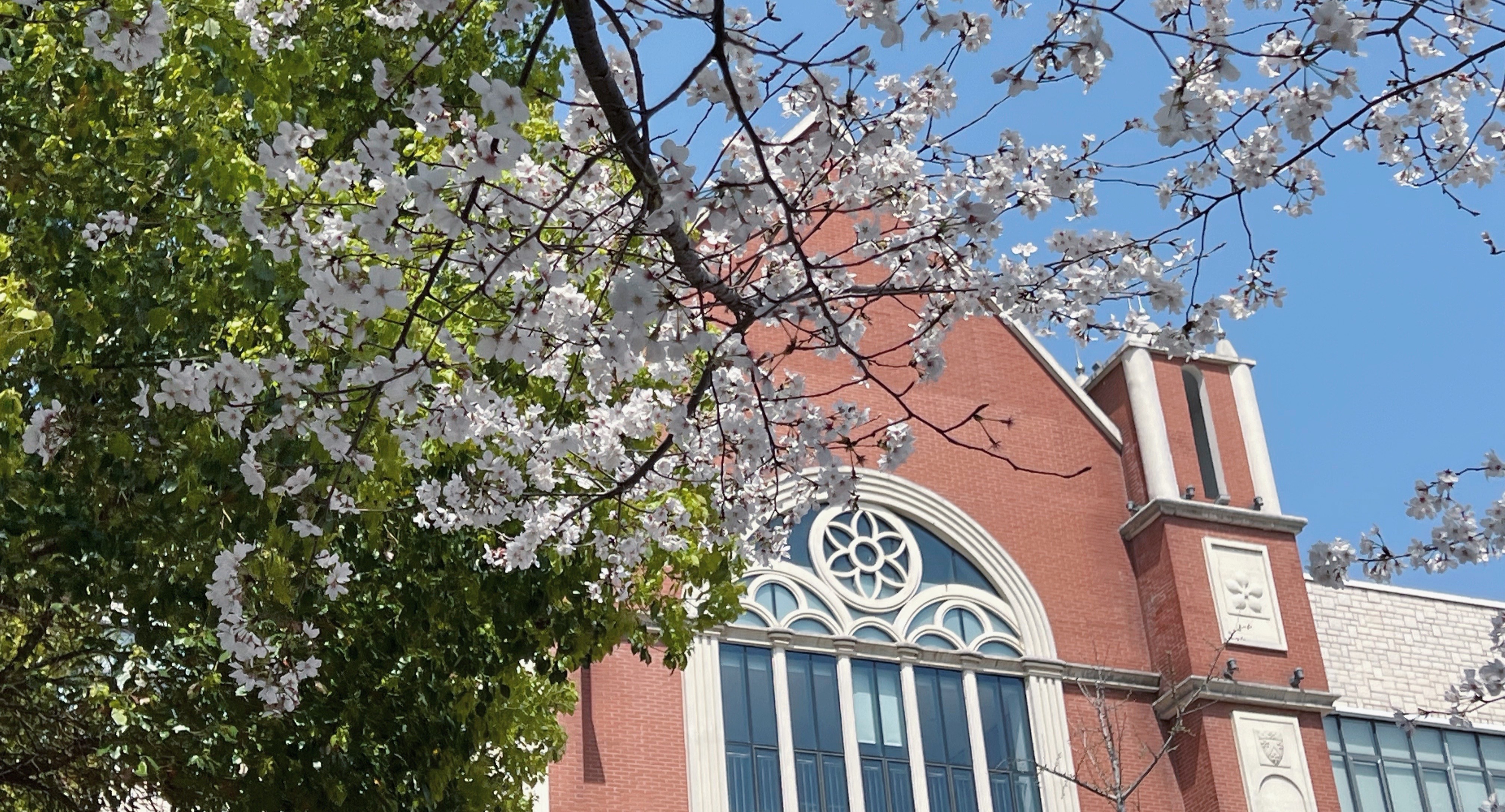 English and Mandarin as a Pathway to Global Citizenship – DCSZ Open Day