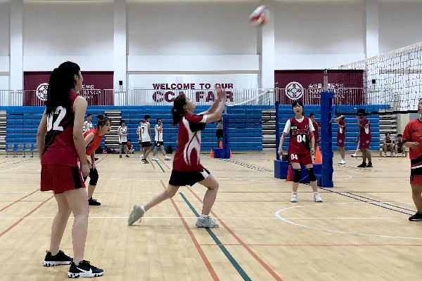 Volleyball Matches