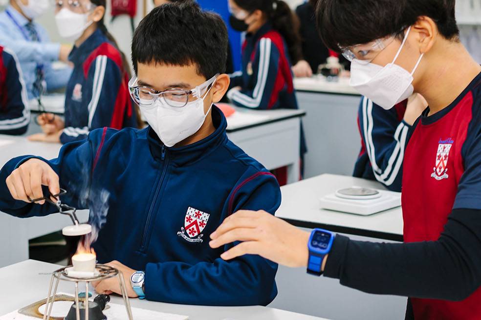Investigating the reactions of magnesium