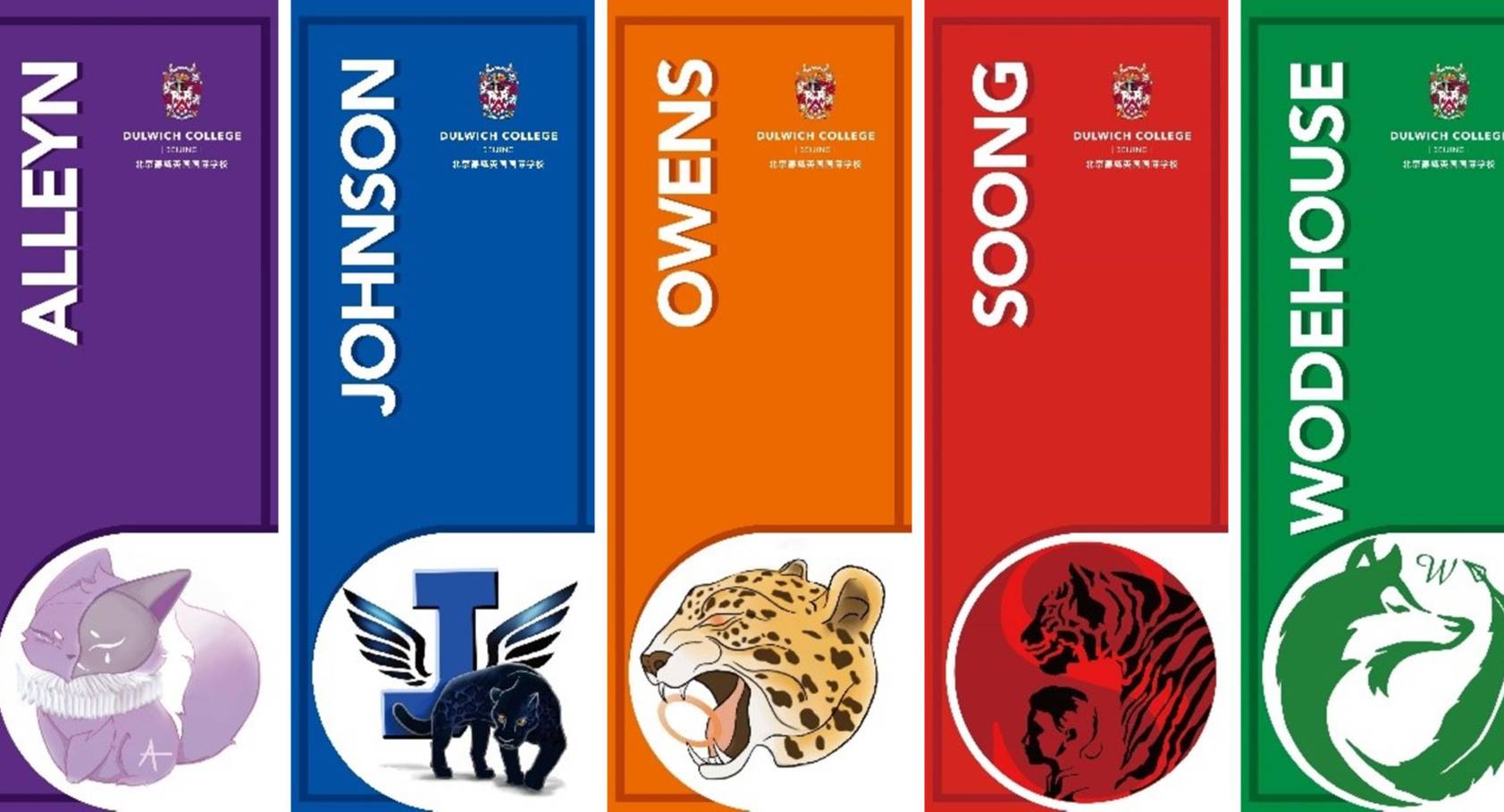 United Colours at DCB: New Logos Bands Houses Across DCB Schools