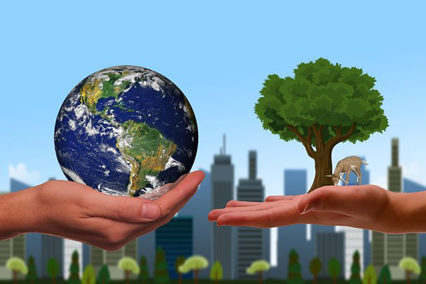 Live Worldwise with Sustainability at Heart