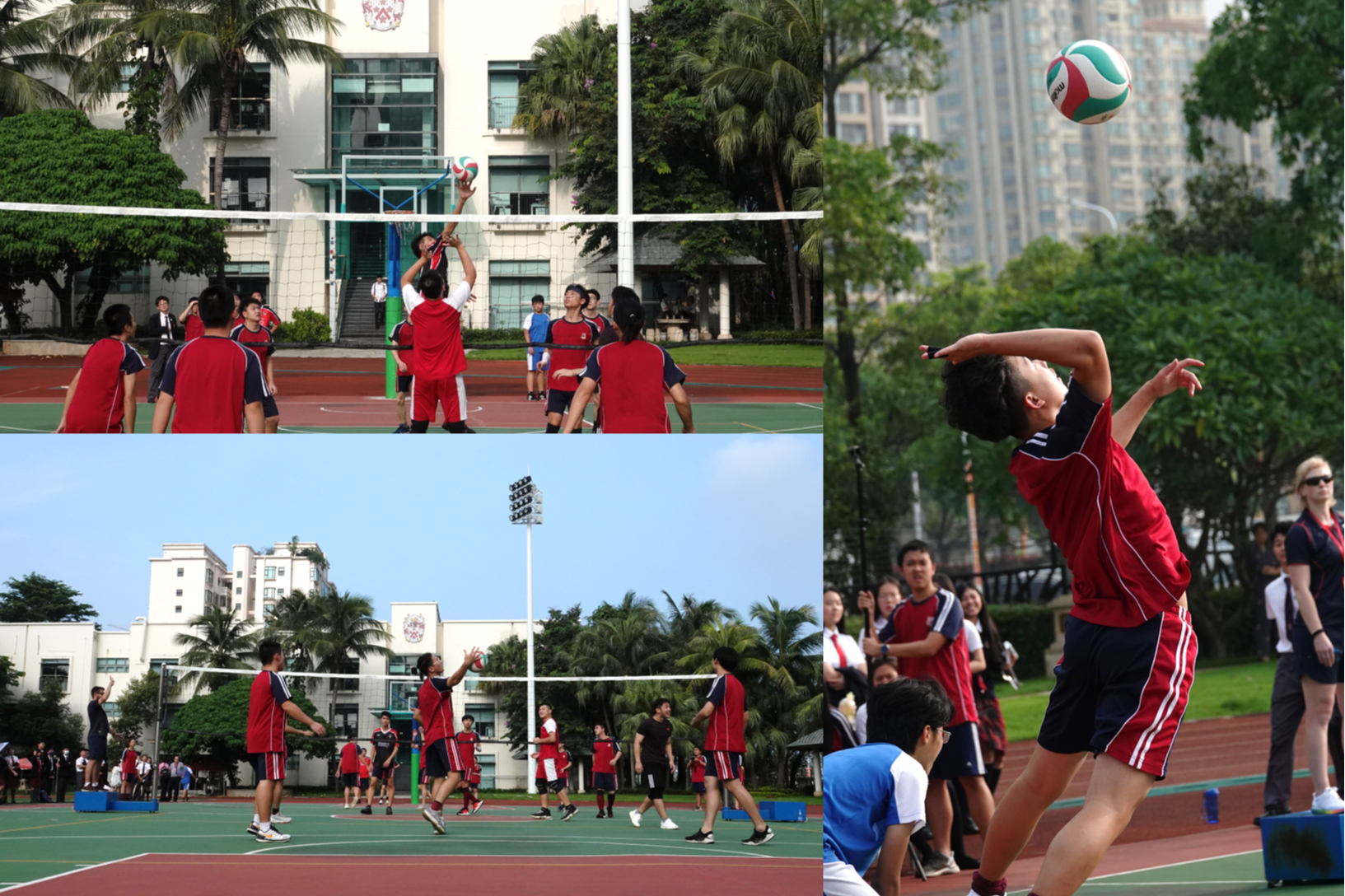 Energetic Sports and PE programs